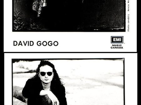 David Gogo For Cheap