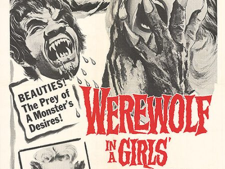 Werewolf in a Girls  Dormitory Online now