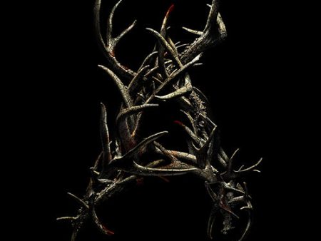 Antlers For Sale