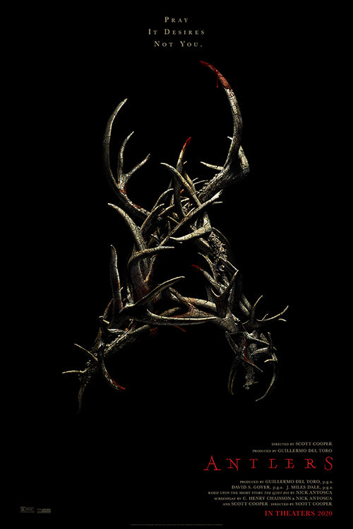 Antlers For Sale