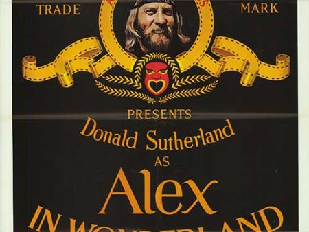 Alex in Wonderland For Discount