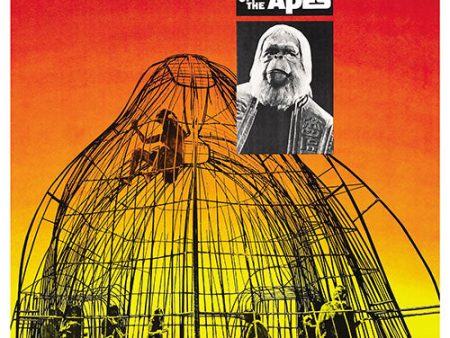 Planet Of The Apes Hot on Sale