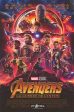 Avengers: Infinity War (French) Online