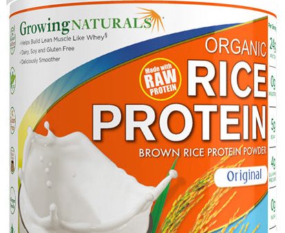 GROWING NATURALS - Organic Rice Protein Original Flavor - 16.2 oz  (459 g) Online now