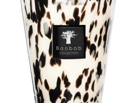 Baobab Collection Max 24 Pearls Black Candle Hot on Sale