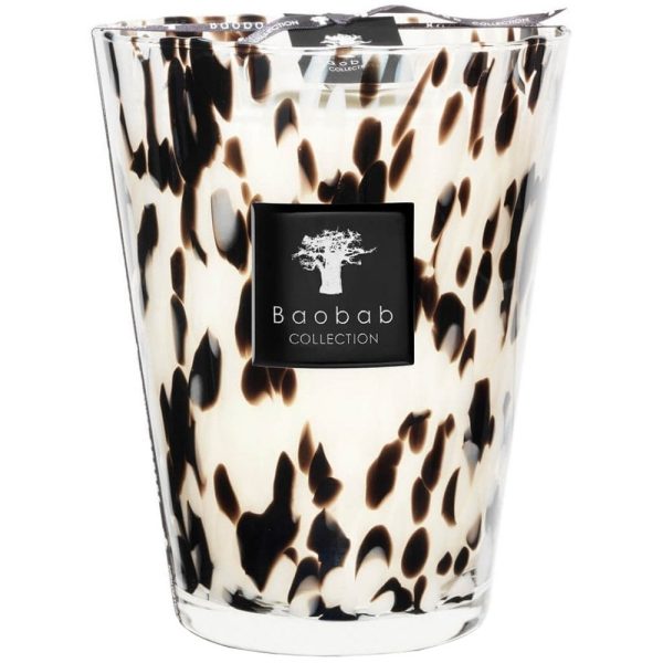 Baobab Collection Max 24 Pearls Black Candle Hot on Sale