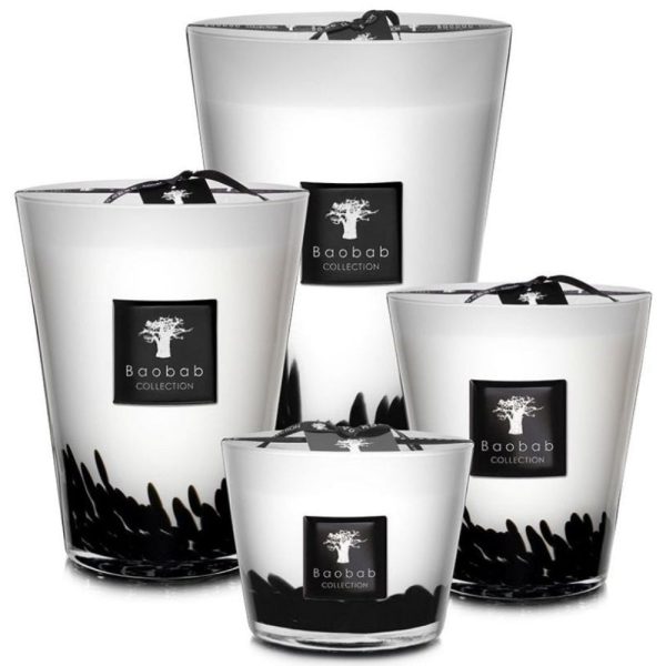 Baobab Collection Maxi Max Feathers Candle Fashion