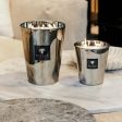 Baobab Collection Maxi Max Platinum Candle Fashion