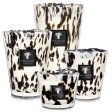 Baobab Collection Maxi Max Pearls Black Candle Online Sale