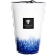 Baobab Collection Maxi Max Feathers Touareg Candle Online