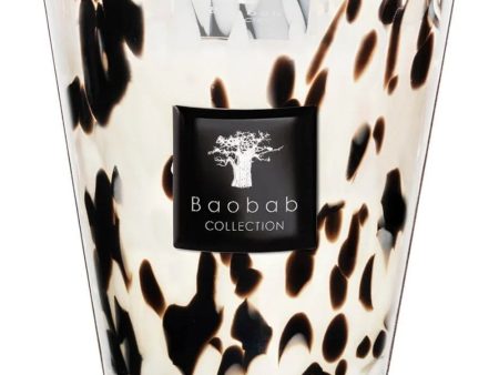 Baobab Collection Max 16 Pearls Black Candle Online