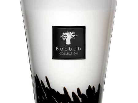 Baobab Collection Max 24 Feathers Candle Fashion